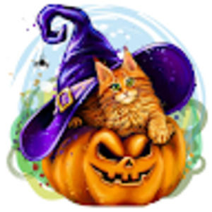 Meet your Posher, Kendra